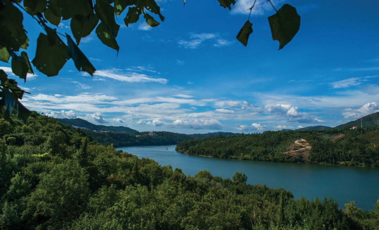 Quinta Vilar E Almarde Castelo de Paiva Exteriör bild